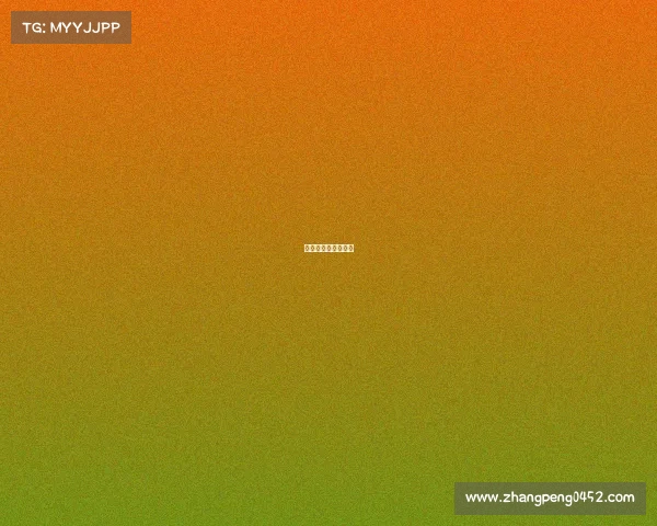 赛事布展、赛事展示