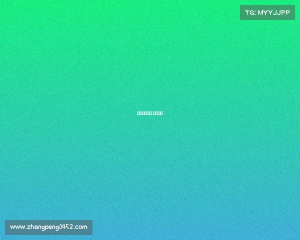 功夫搏击赛事;功夫搏斗